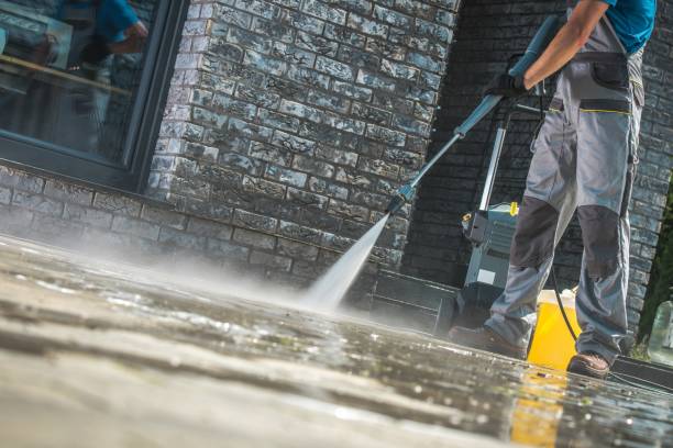 Animal Enclosure Cleaning in Smithville, TX